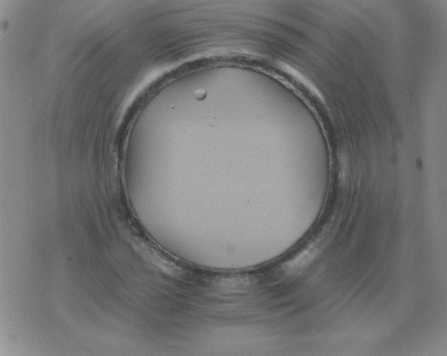 X0000075921021200610062202