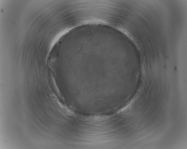 X0000075921022200610062202