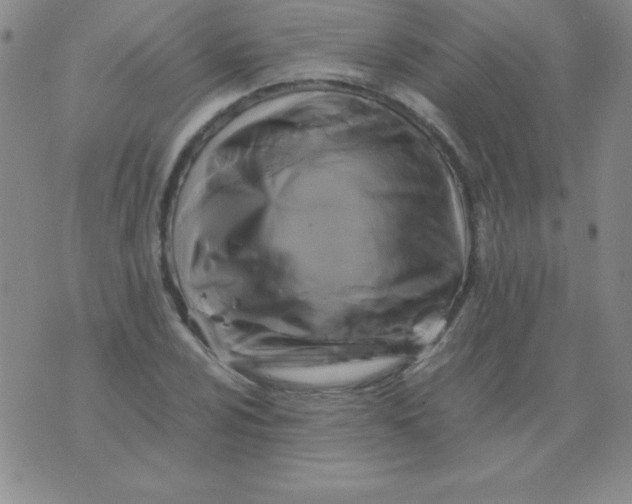 X0000075921024200610062202