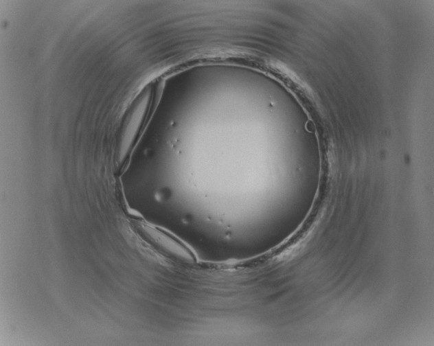 X0000075921025200610062202