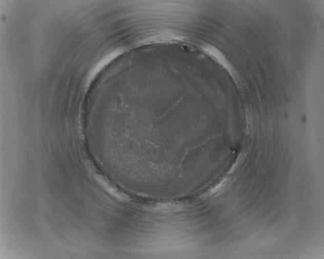 X0000075921026200610062202