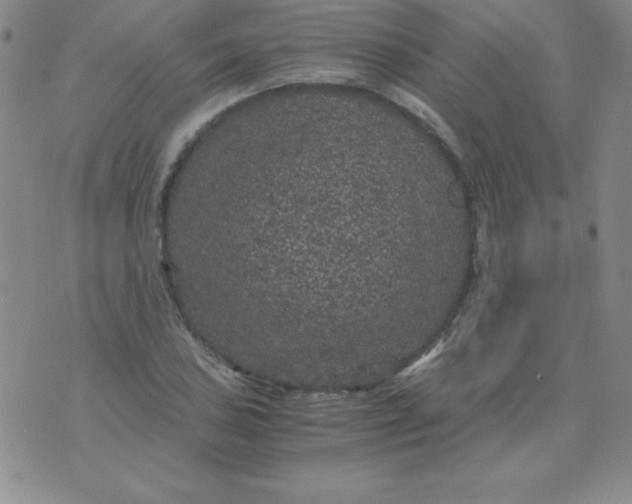 X0000075921027200610062202