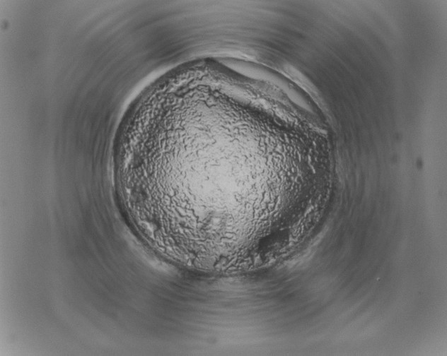 X0000075921028200610062202