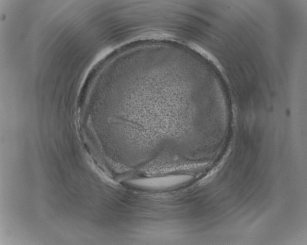 X0000075921029200610062202