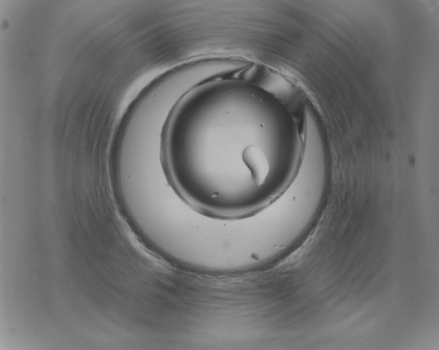 X0000075921030200610062202