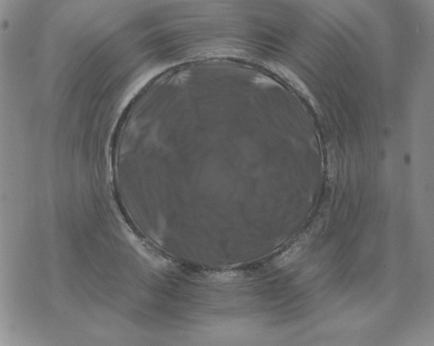 X0000075921031200610062202