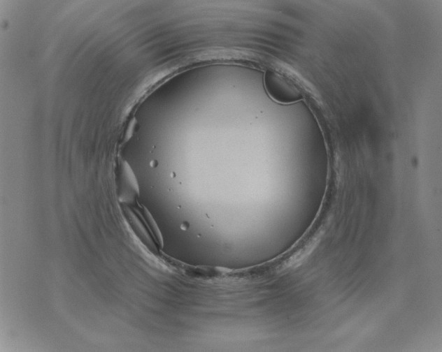 X0000075921033200610062202