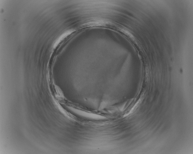 X0000075921034200610062202