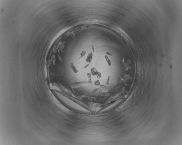 X0000075921036200610062202