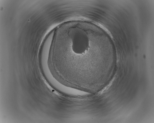 X0000075921037200610062202