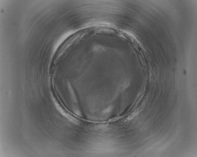 X0000075921038200610062202