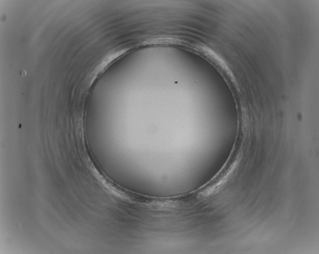 X0000075921041200610062203