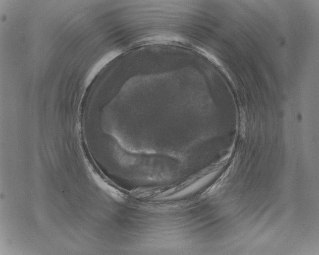 X0000075921042200610062203