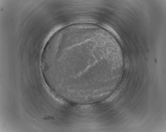 X0000075921043200610062203