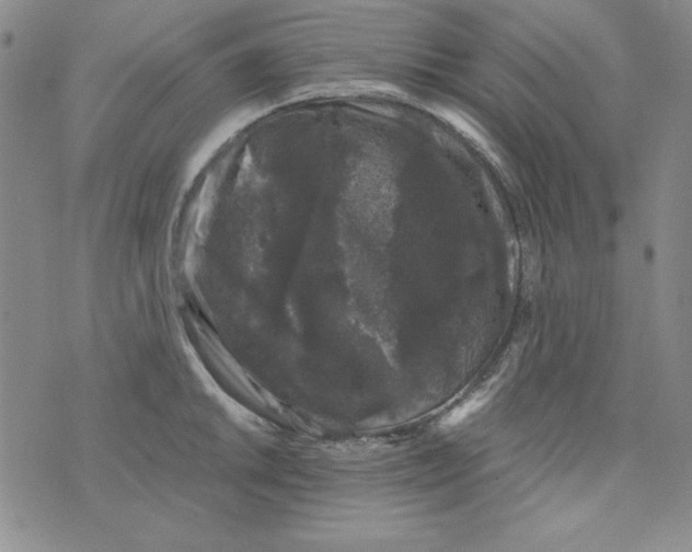 X0000075921046200610062203