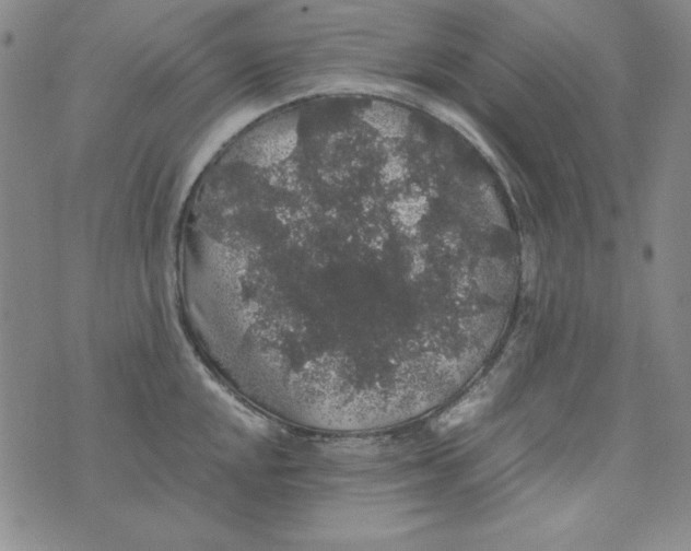 X0000075921048200610062203