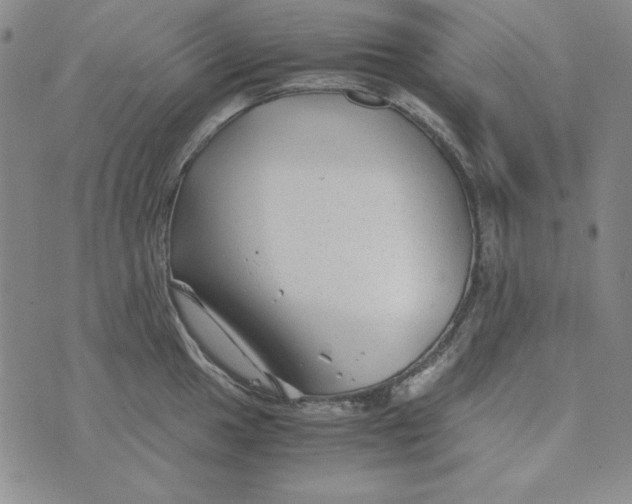 X0000075921049200610062203