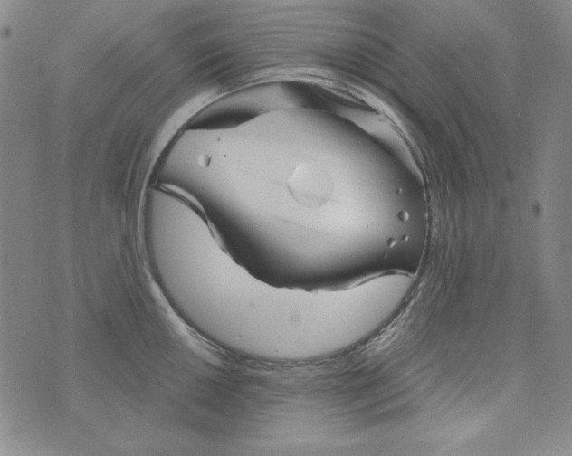 X0000075921050200610062203