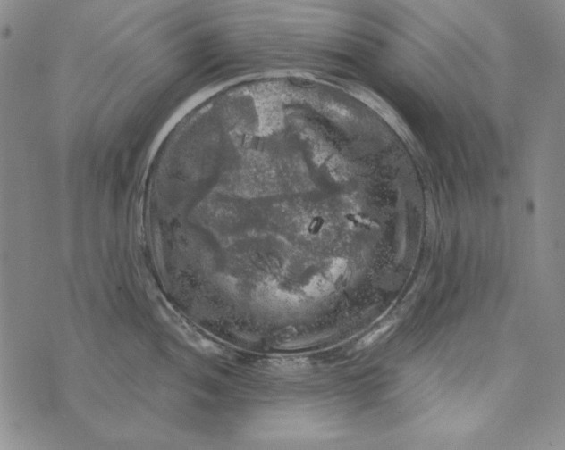 X0000075921052200610062203