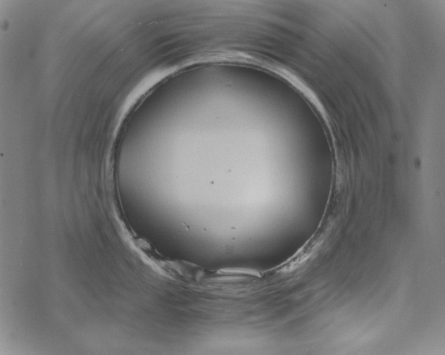 X0000075921053200610062203