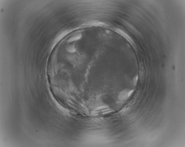 X0000075921055200610062203