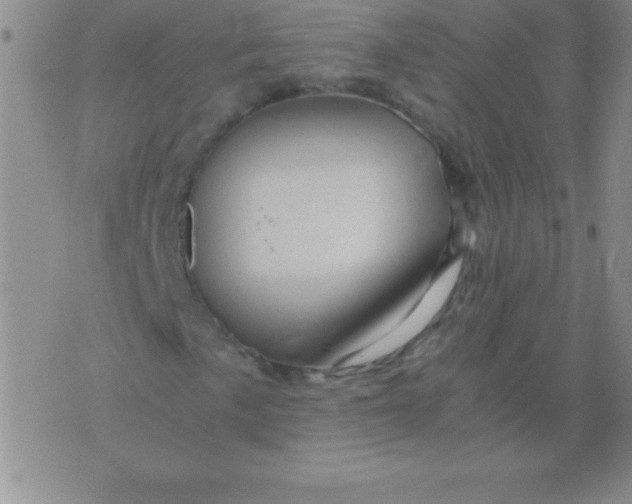 X0000075921057200610062202