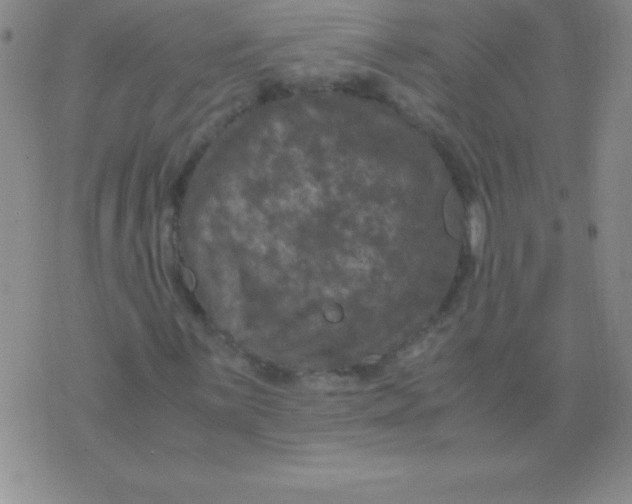 X0000075921059200610062202