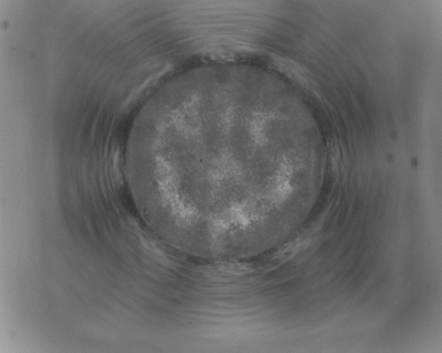 X0000075921060200610062202