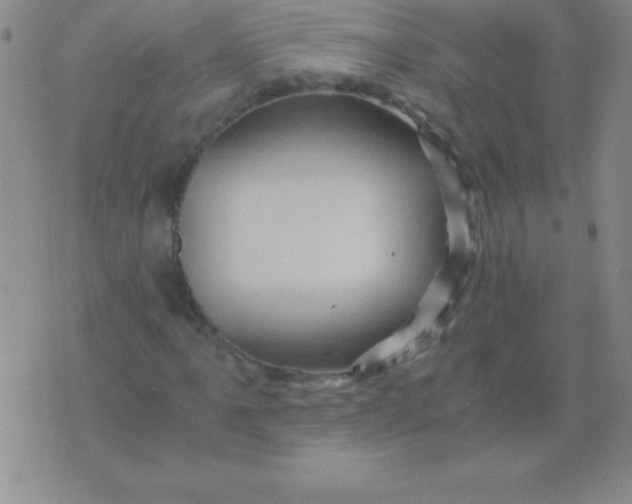 X0000075921061200610062202