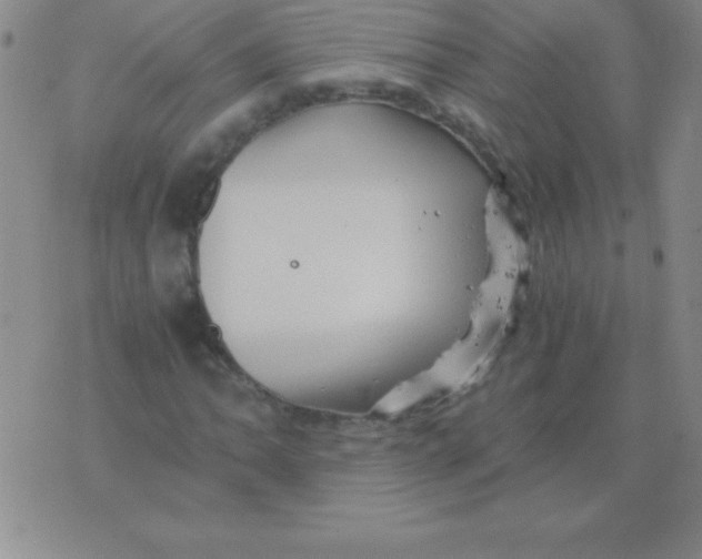 X0000075921062200610062202