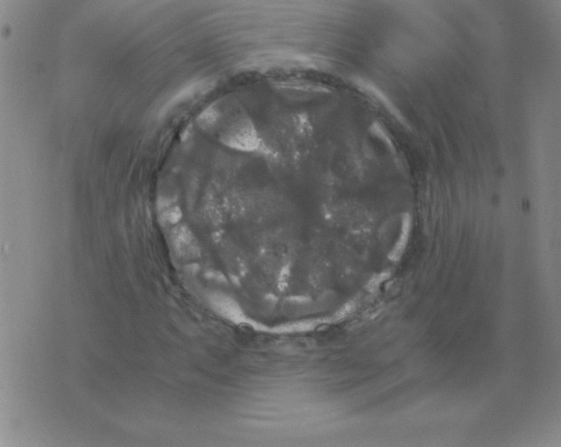 X0000075921063200610062202