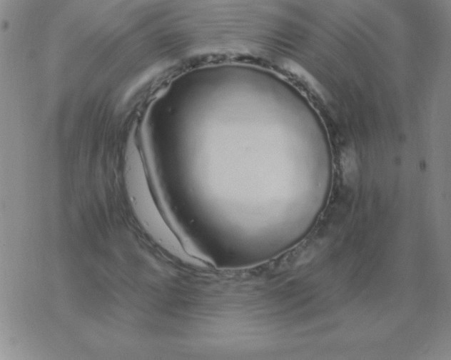 X0000075921064200610062202