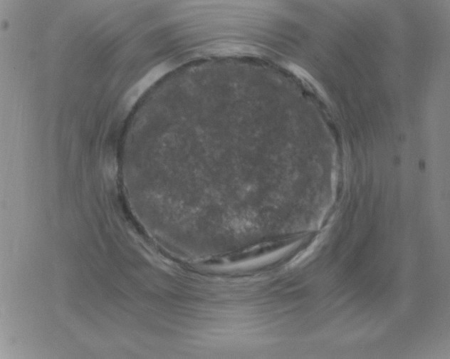 X0000075921065200610062202