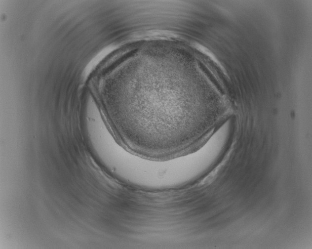 X0000075921066200610062202