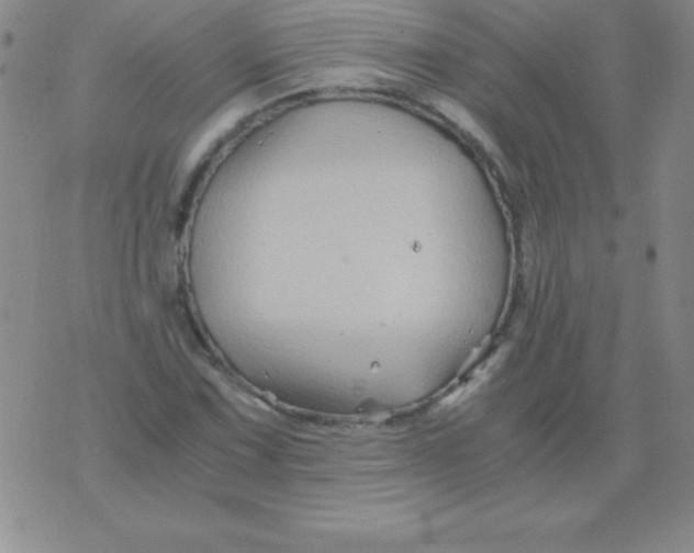 X0000075921067200610062202