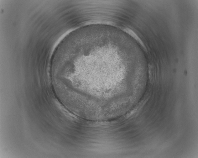 X0000075921068200610062202