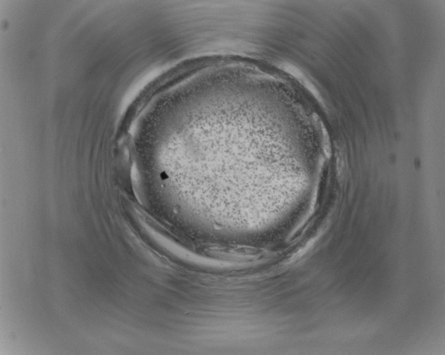 X0000075921069200610062202