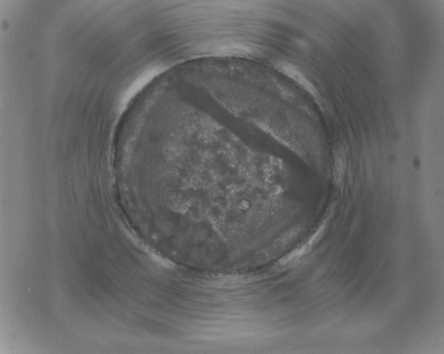 X0000075921071200610062202