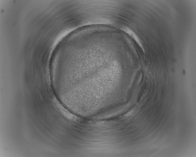 X0000075921072200610062202