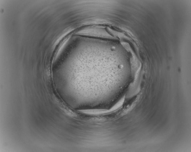 X0000075921073200610062202