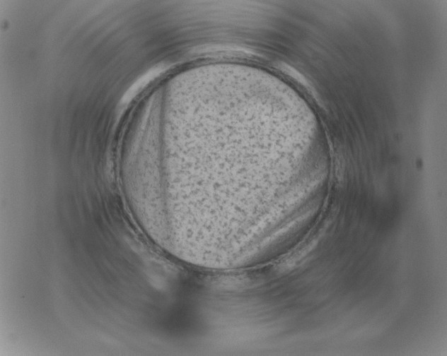 X0000075921074200610062202