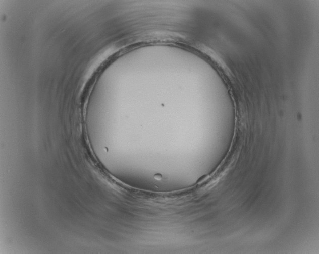 X0000075921075200610062202