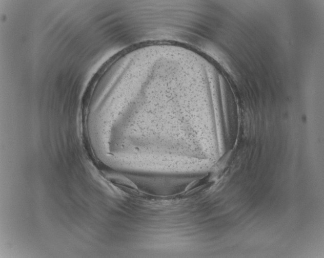 X0000075921076200610062202