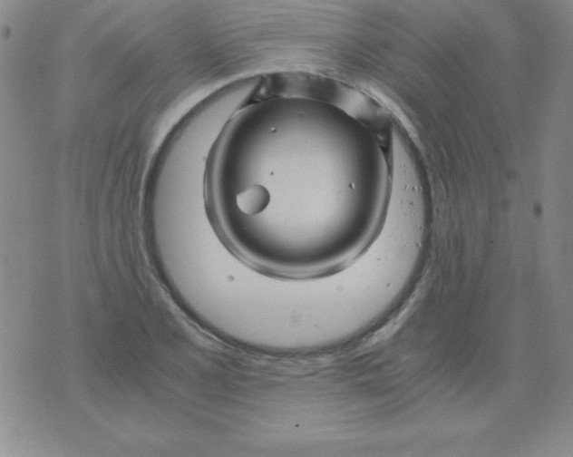 X0000075921077200610062202