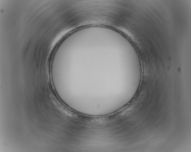 X0000075921078200610062202