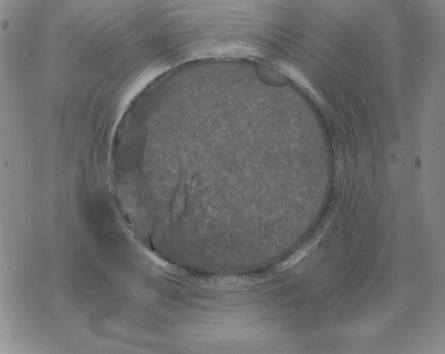 X0000075921079200610062202