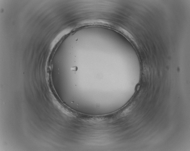 X0000075921082200610062202