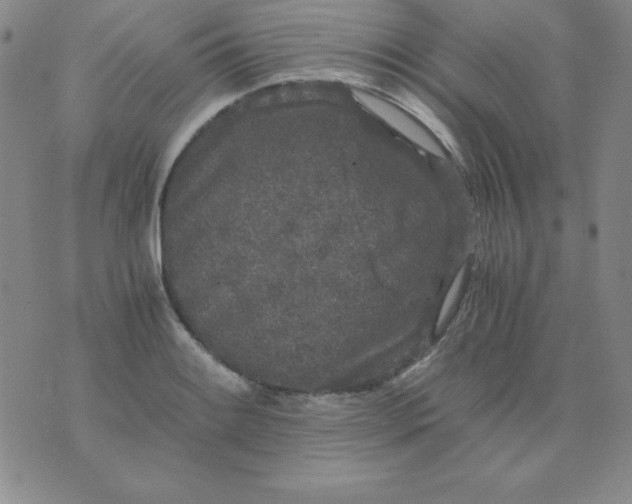 X0000075921084200610062202