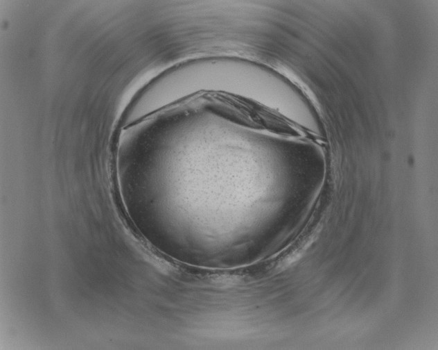 X0000075921085200610062202