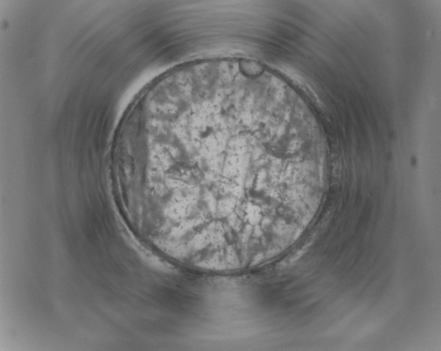 X0000075921086200610062202